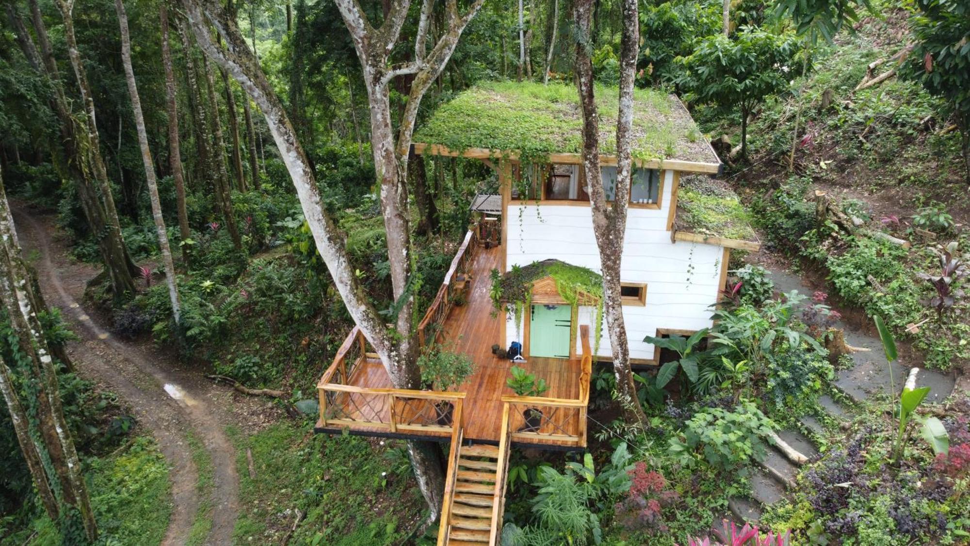 까위따 Jungle Spirit Treehouse 빌라 외부 사진