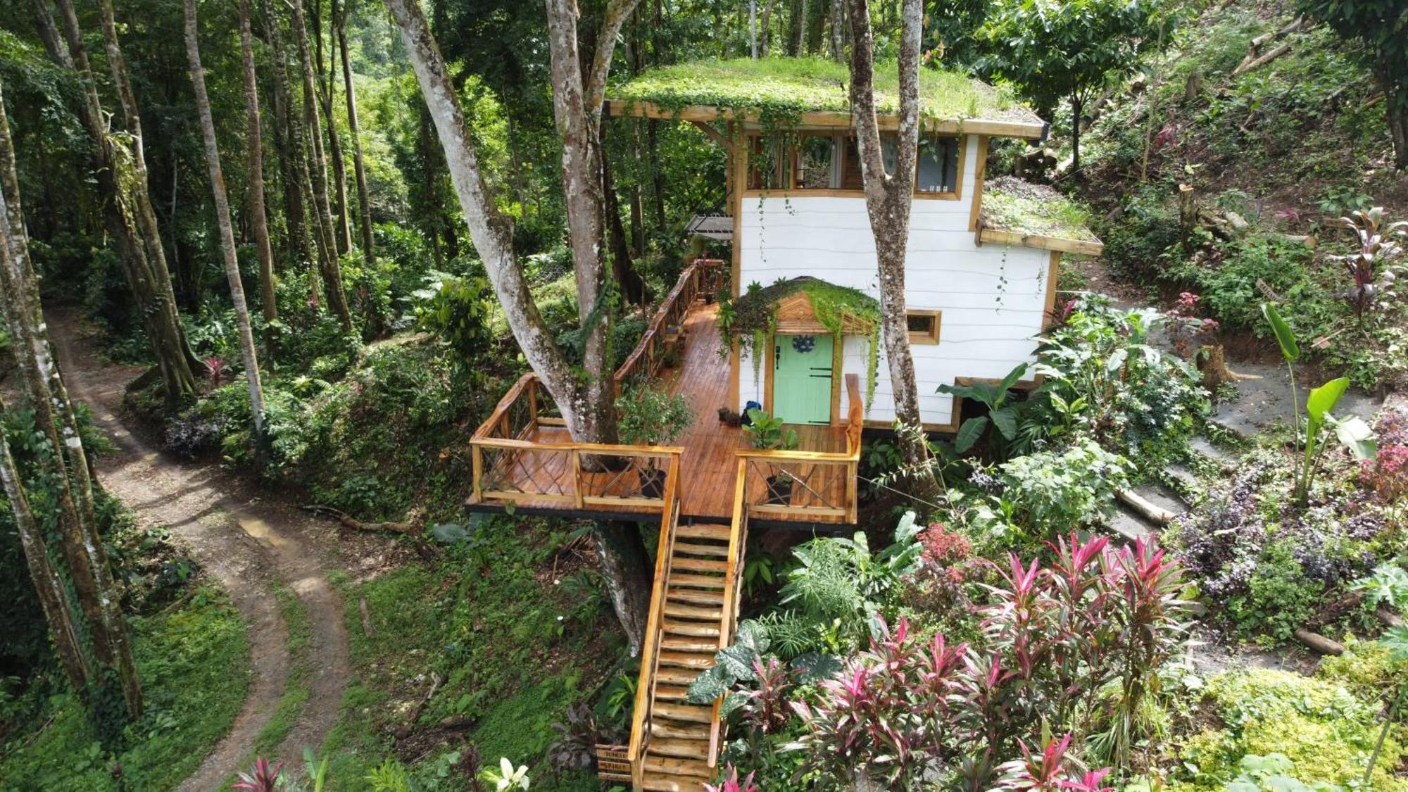 까위따 Jungle Spirit Treehouse 빌라 외부 사진