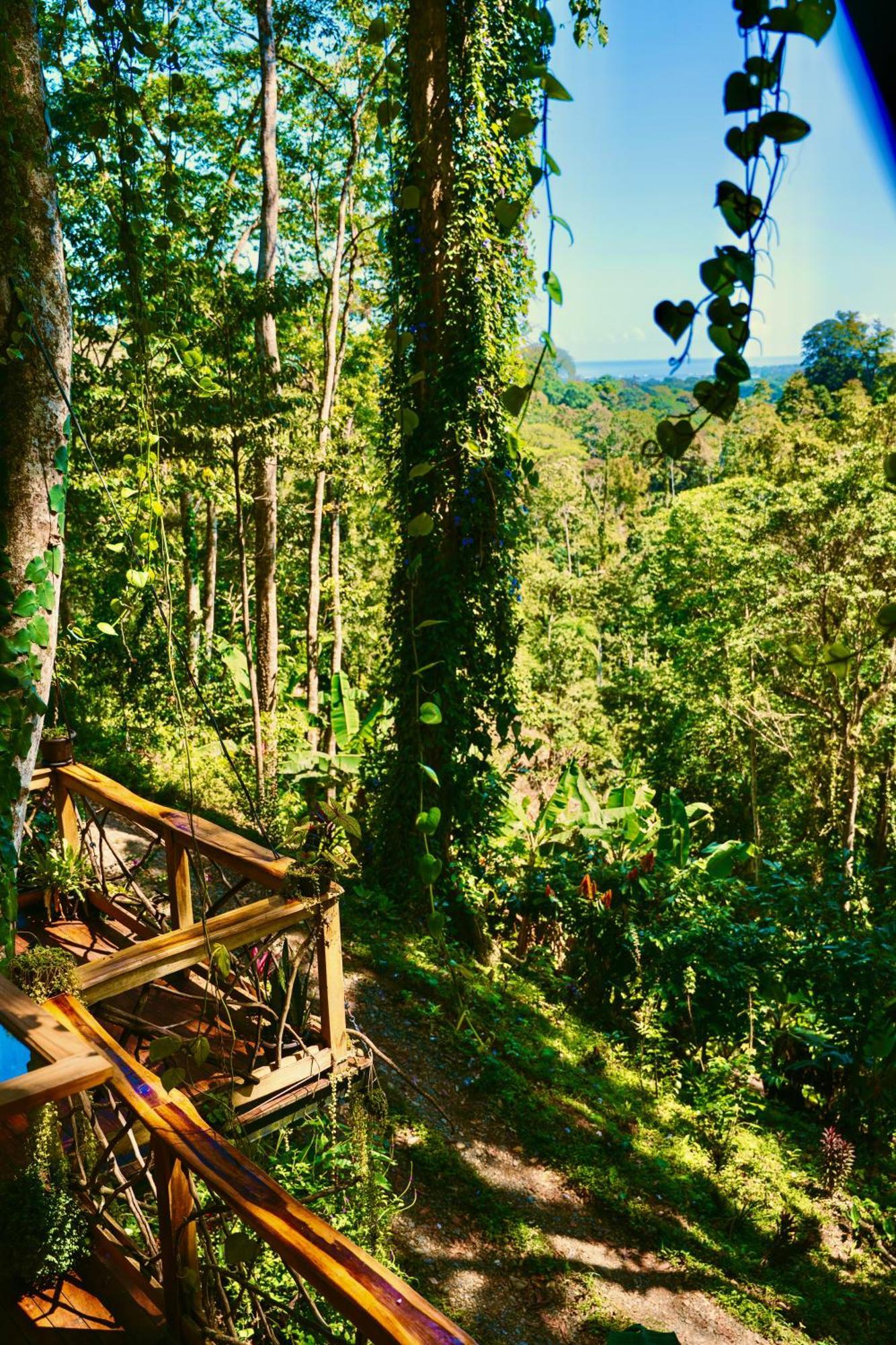 까위따 Jungle Spirit Treehouse 빌라 외부 사진